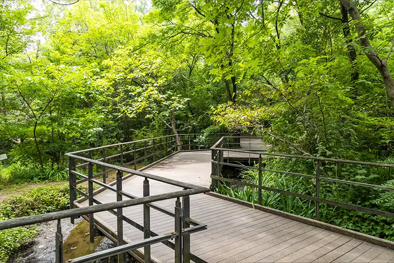 赤羽自然観察公園