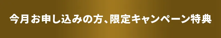 PC-4月限定